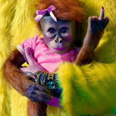 Rashaid's avatar