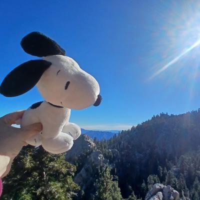 virilandia's avatar