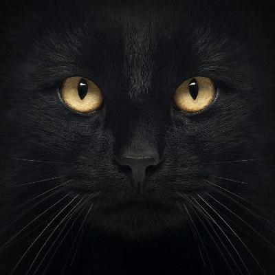 dajuni's avatar