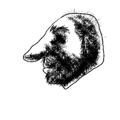 benjamindesmares's avatar