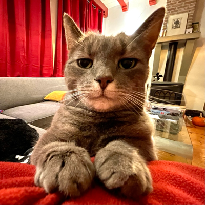 avatar