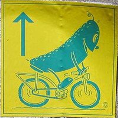 Bernd Tonn's profile picture