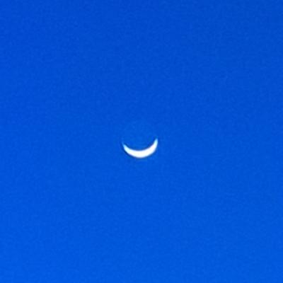 Frepi's avatar