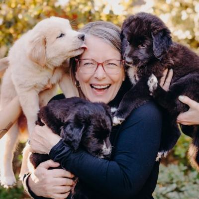 Davis's profile picture