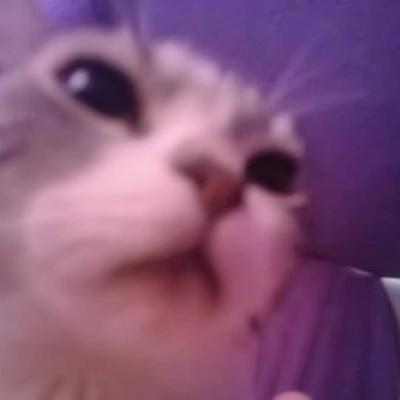 R4bb1tM1nt's avatar