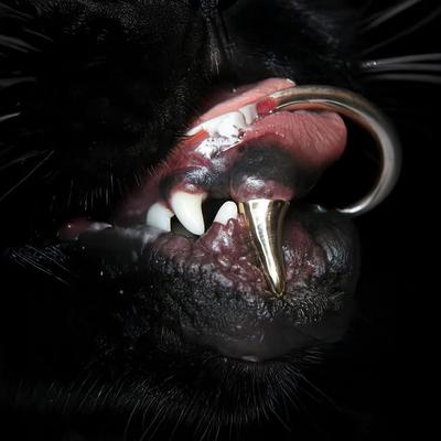Mastodon profile picture for @midland