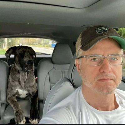 lukasdavis's avatar