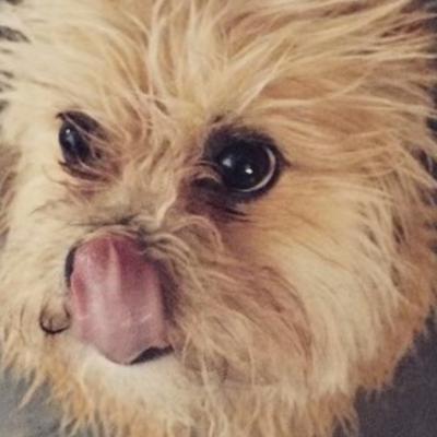 Mastodon profile picture for @Misses