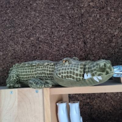 Vera 🏳️‍⚧️'s avatar