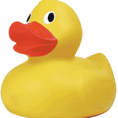 raiden00@mastodon.social