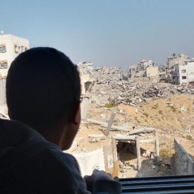 danyarelkhodari’s profile image