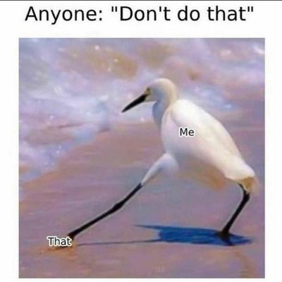 lasttry@mastodon.social