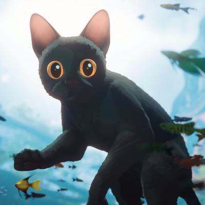 imjustmsk@mastodon.social