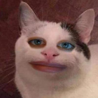 [?]