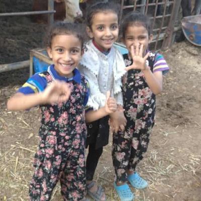 hananmahmoudgaza’s profile image
