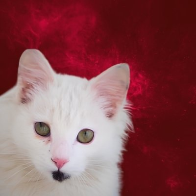 sublognot@mastodon.social