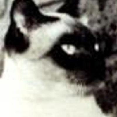 [?]