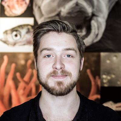Emil Lindfors
