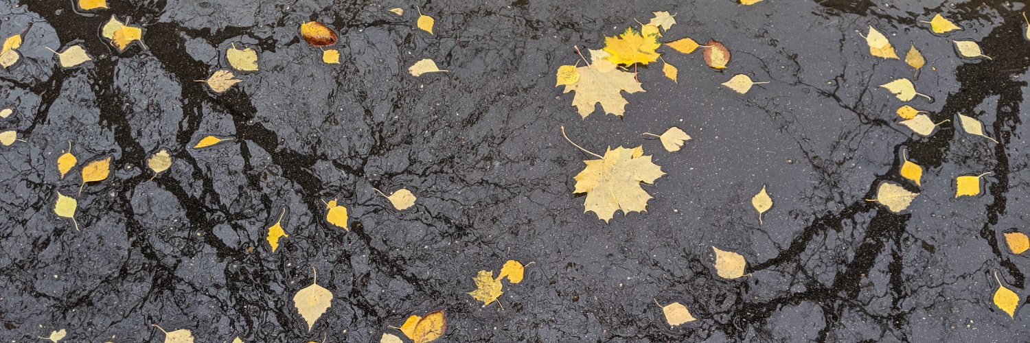 Header Image
