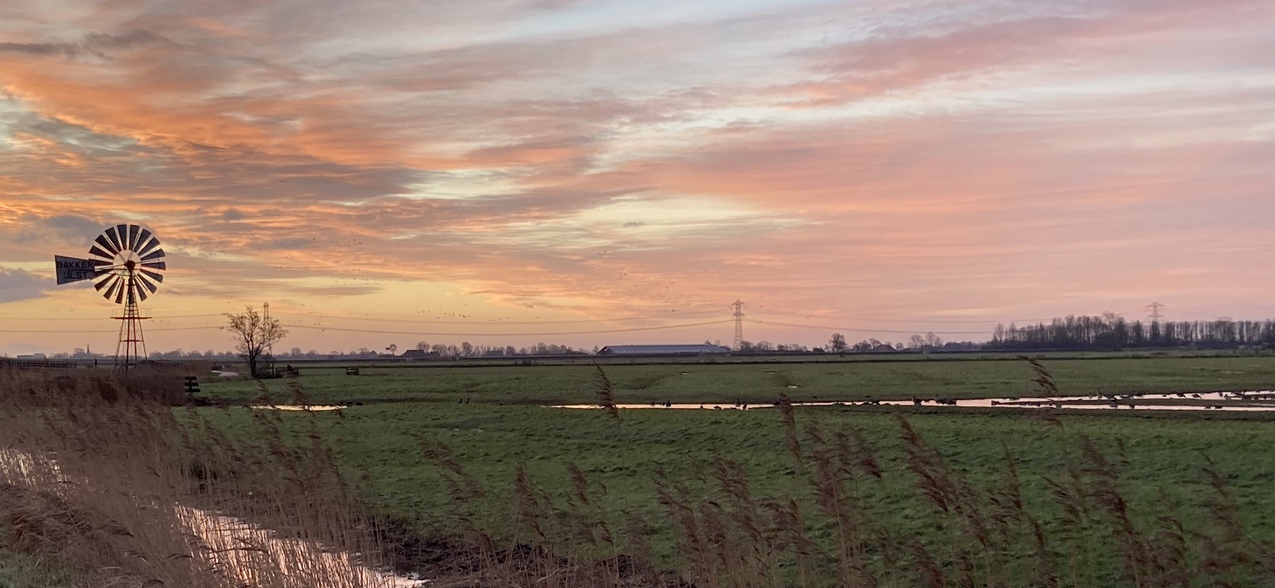 RichardHoekstra's profile header