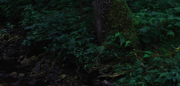 Mastodon banner for @albin