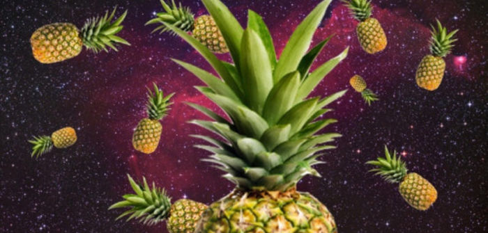 Mastodon banner for @pineapple