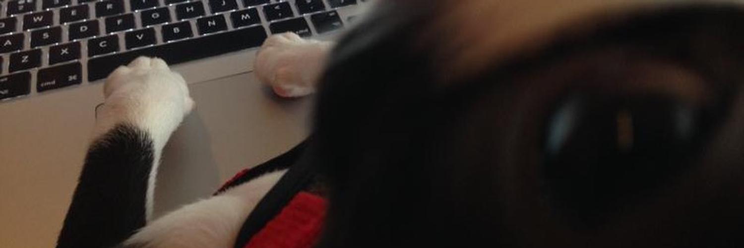 Header Image