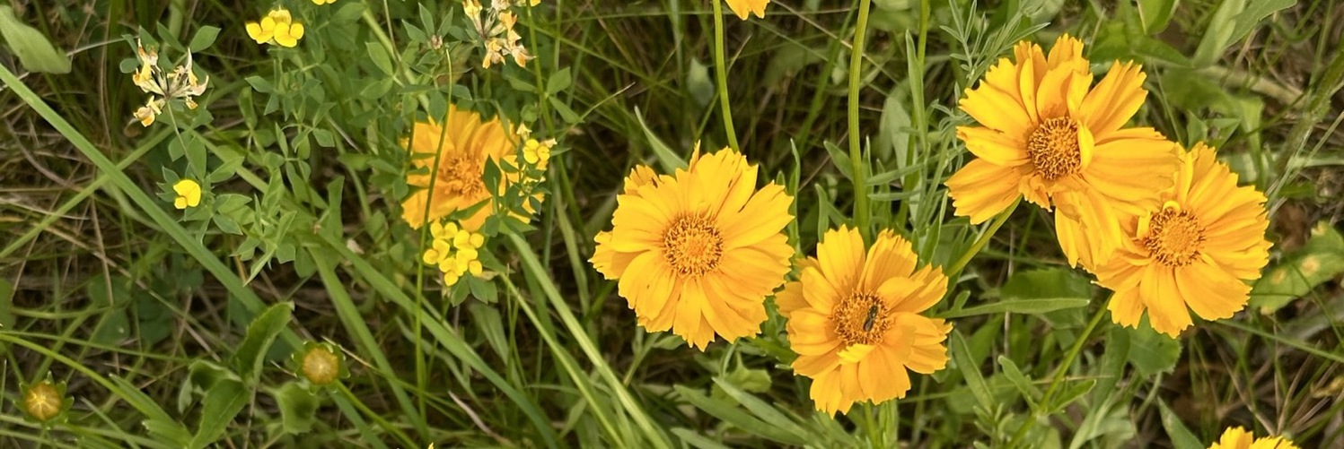 User banner