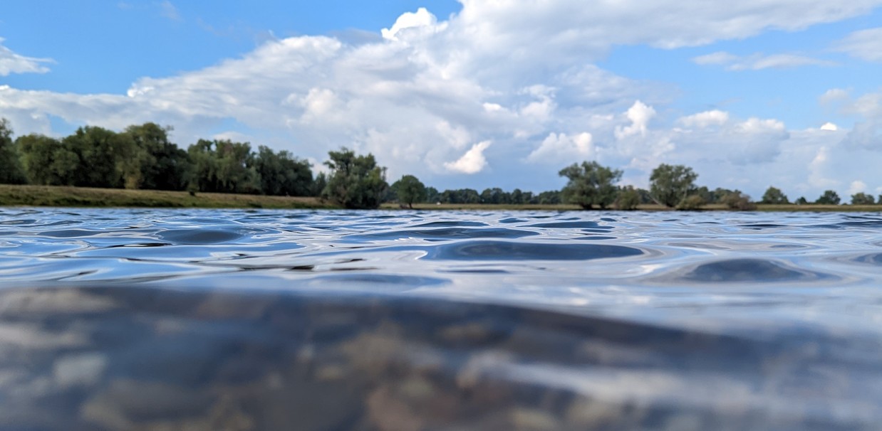 Header Image