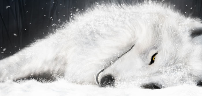Mastodon banner for @Kou