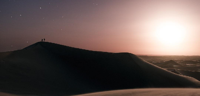 Mastodon banner for @Mute
