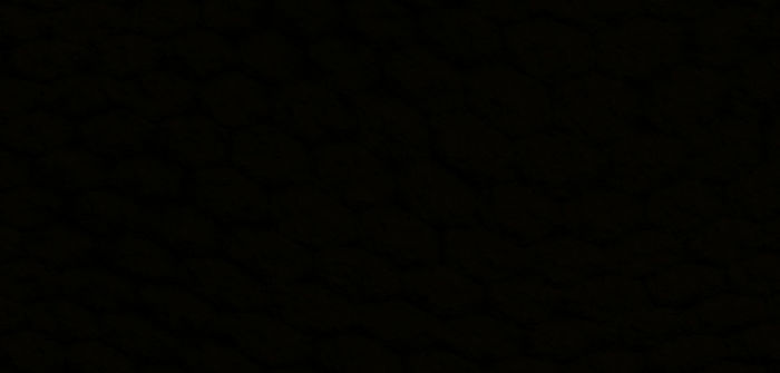 Mastodon banner for @trees