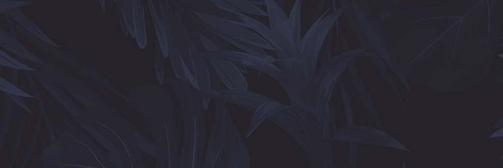 Mastodon banner for @rafi