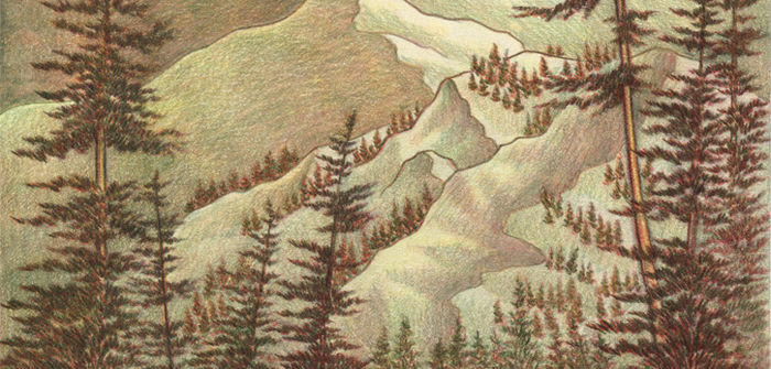 melgillman's profile header