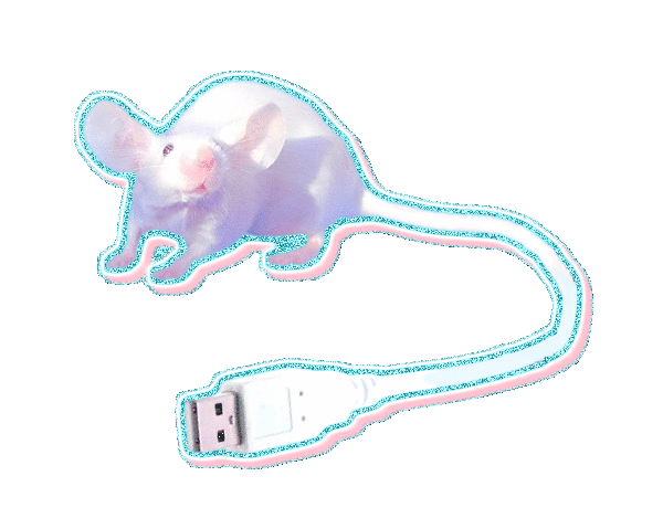 Mastodon banner for @bon