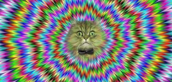 Mastodon banner for @down