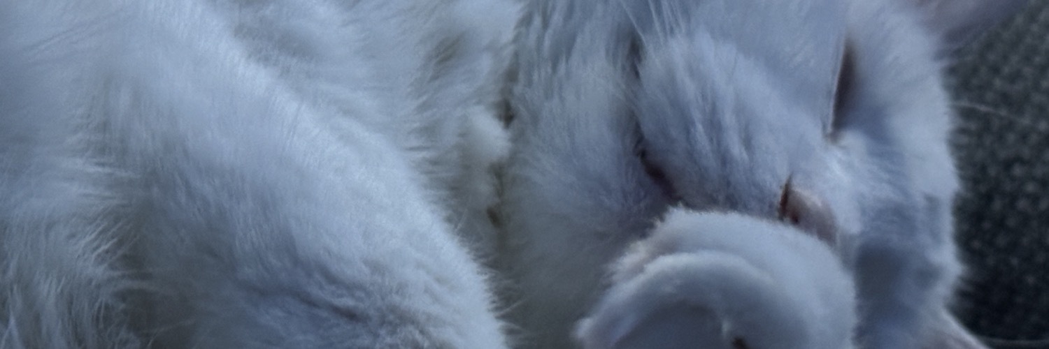 trademarkable's profile header
