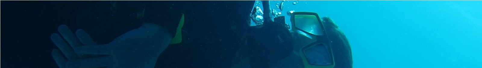 Mastodon banner for @pds