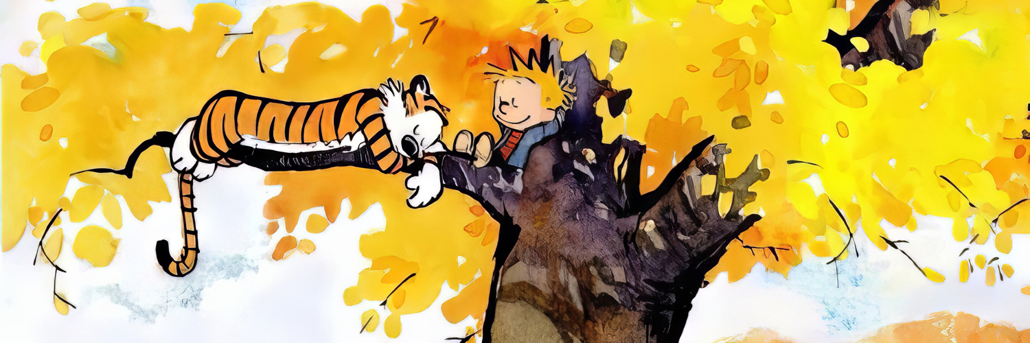 paladintom's profile header