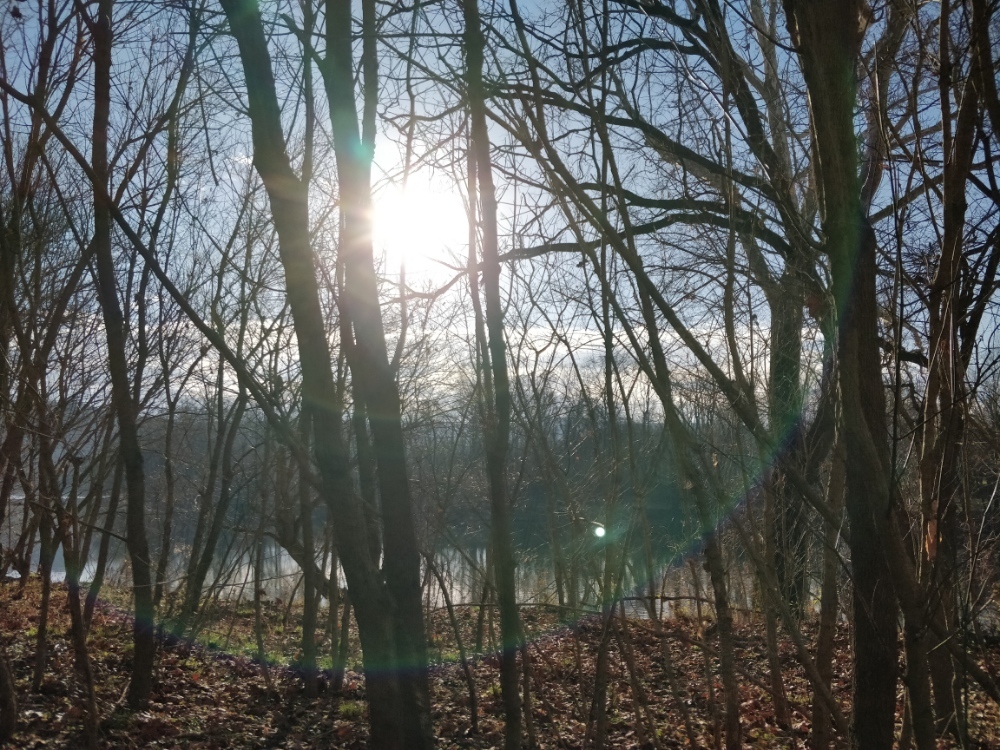Header Image