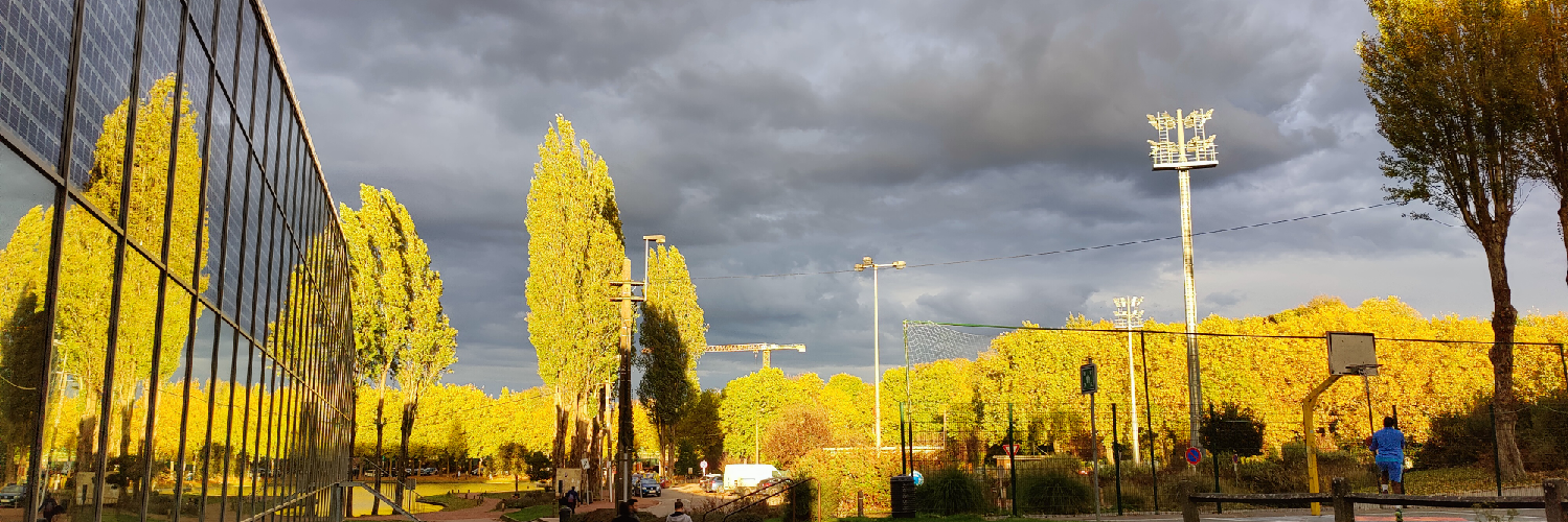 Header Image