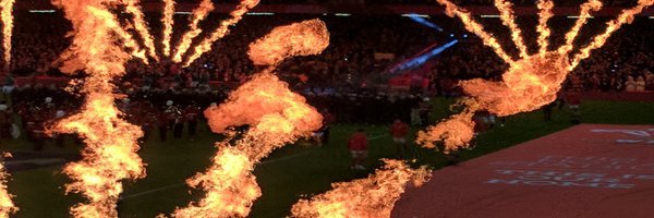 roelmann's profile header