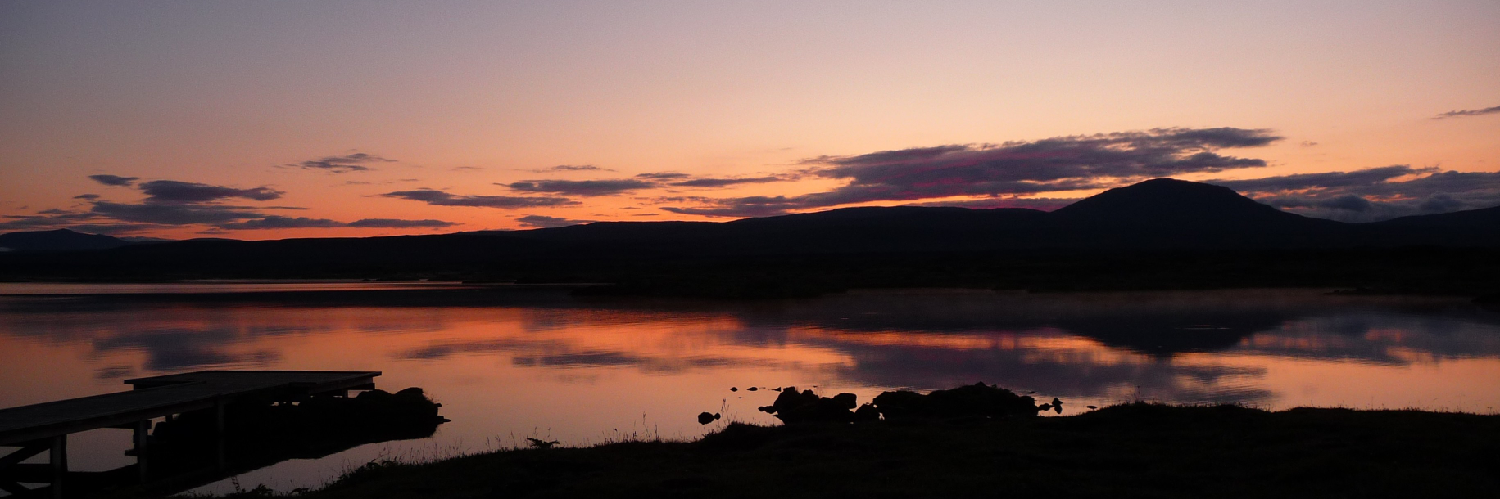Header Image