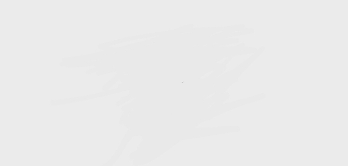 Mastodon banner for @raccoons