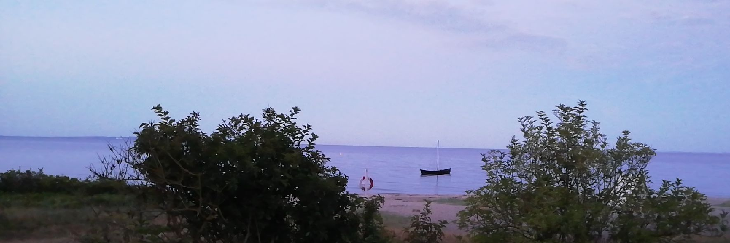 Header Image