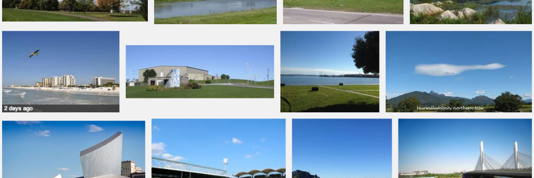 npseaver's profile header