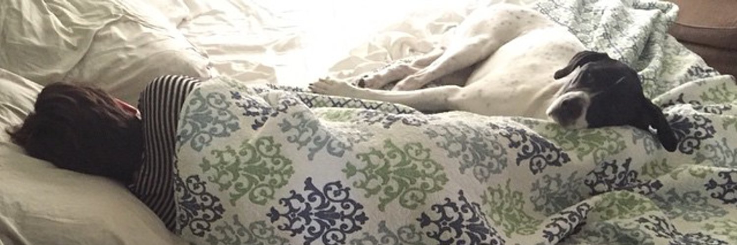 TaraAriano's profile header