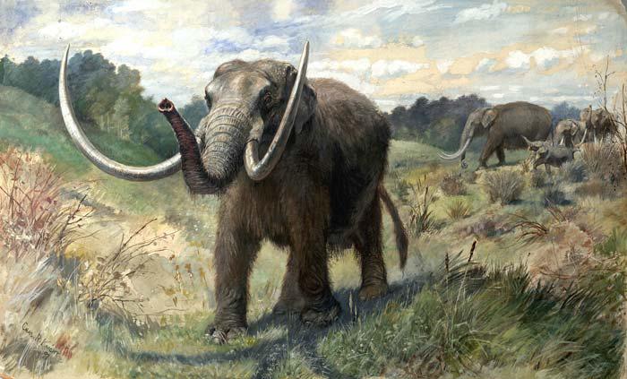 Mastodon banner for @Guo