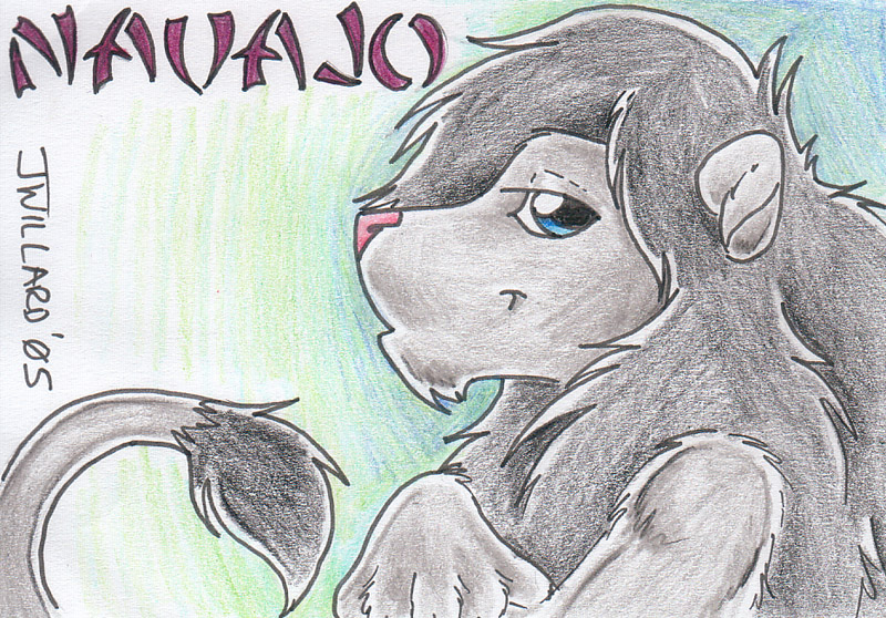 Mastodon banner for @navajo