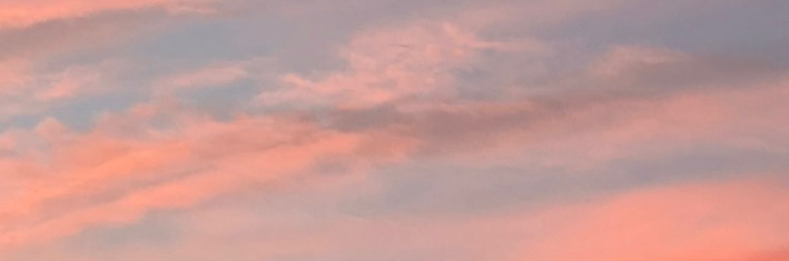levivig's profile header